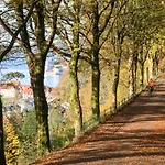 Dinbnb I Top-modern In Historical Sandviken *